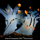 Illustration for article titled The Best Underwater Photographs of 2016 Are Out of This World